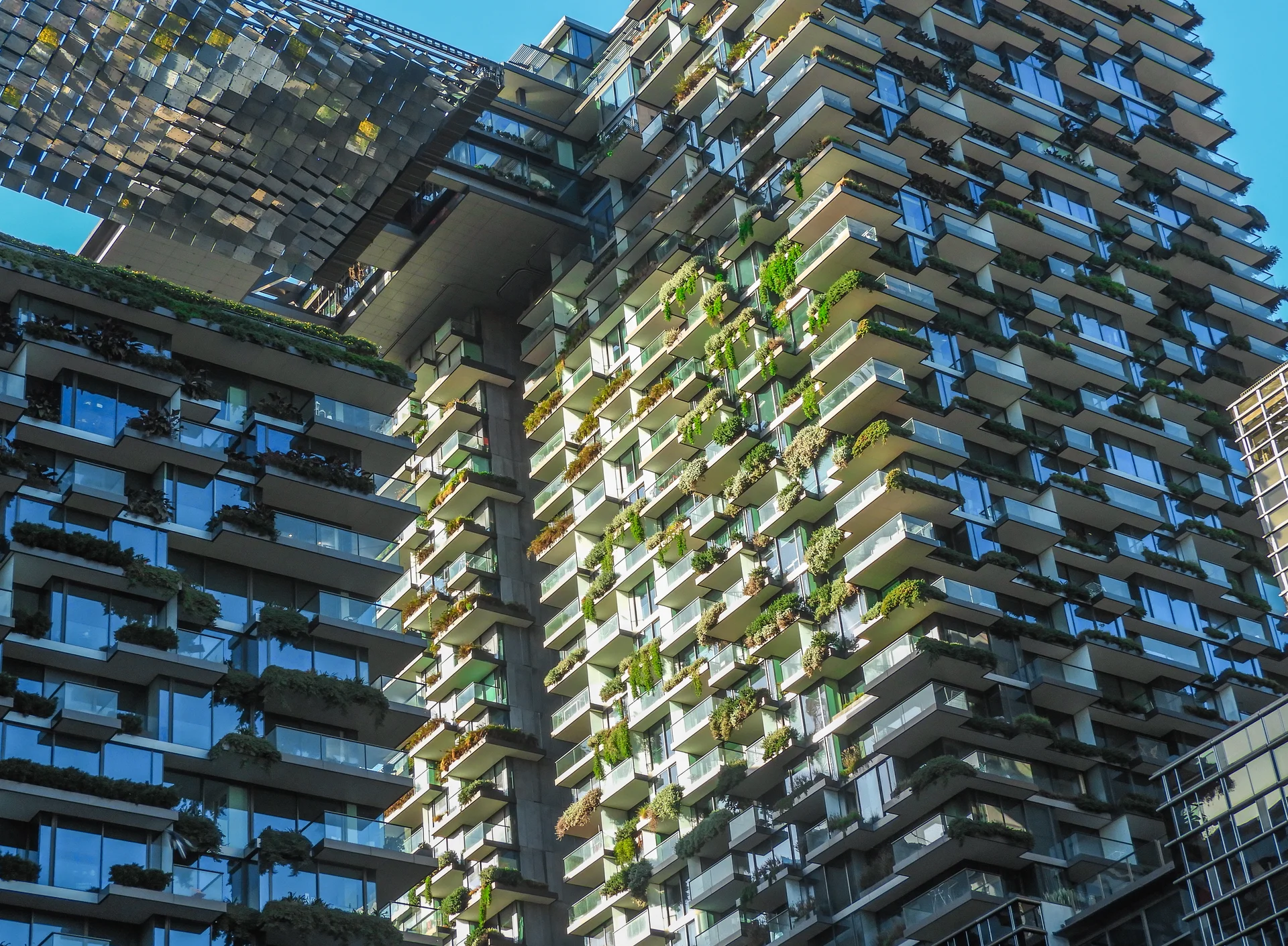 Photography Portfolio - Image 11